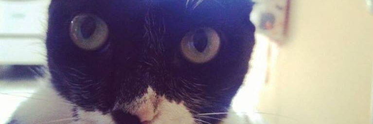 HansCavalcante's profile banner image