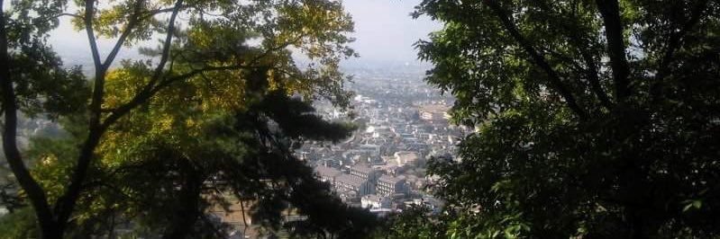 ピンクダークの少年 banner