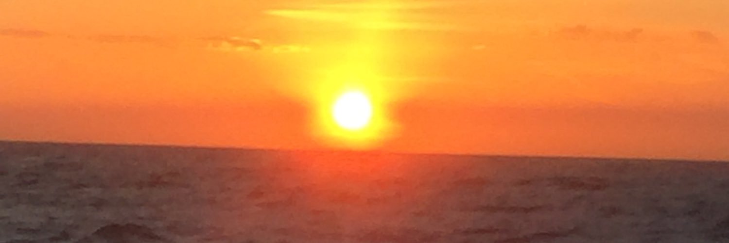 aliciacj73's profile banner image