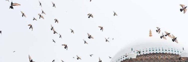 Hanaashraf33's profile banner image