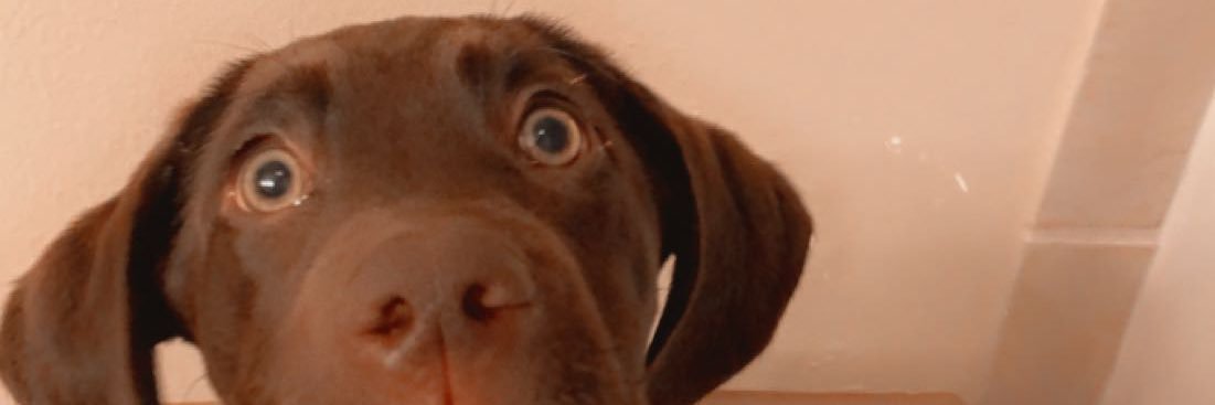 Maxiell__'s profile banner image