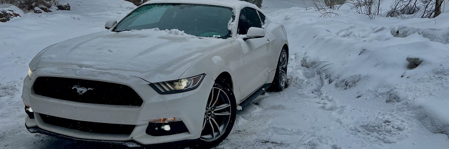 Alexica_SG's profile banner image