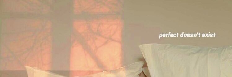 vilinette's profile banner image