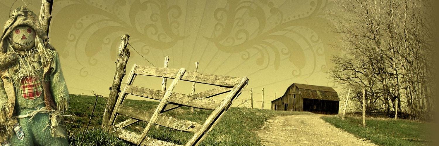 Karl von Napper banner