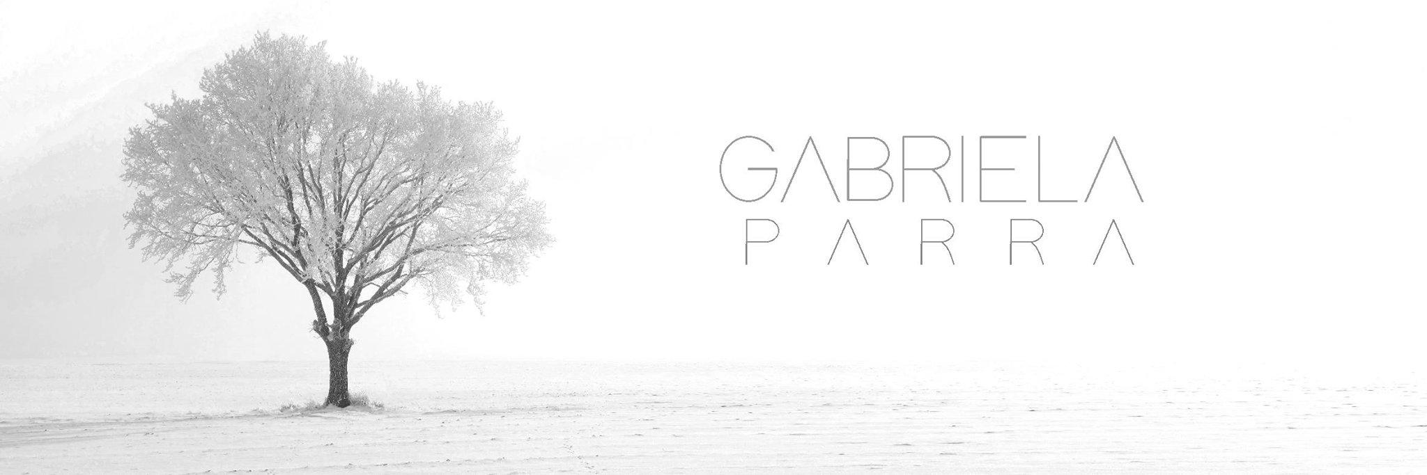 ParraComposer's profile banner image