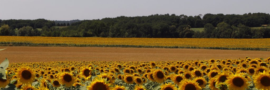 AdeleMagnard's profile banner image