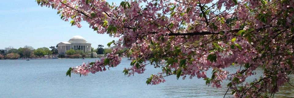 ColleenKilbride's profile banner image