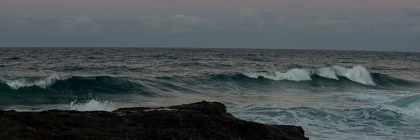 Mia banner