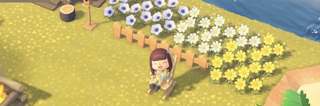 muzju's profile banner image