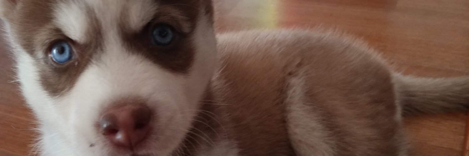 chopperace_'s profile banner image