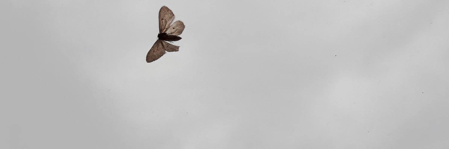 m4hlie's profile banner image