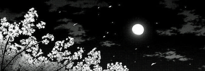 Carmelobob1's profile banner image