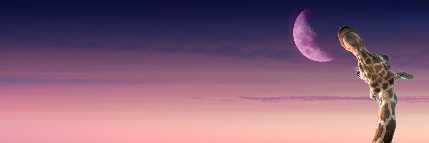 Cecilederostand's profile banner image