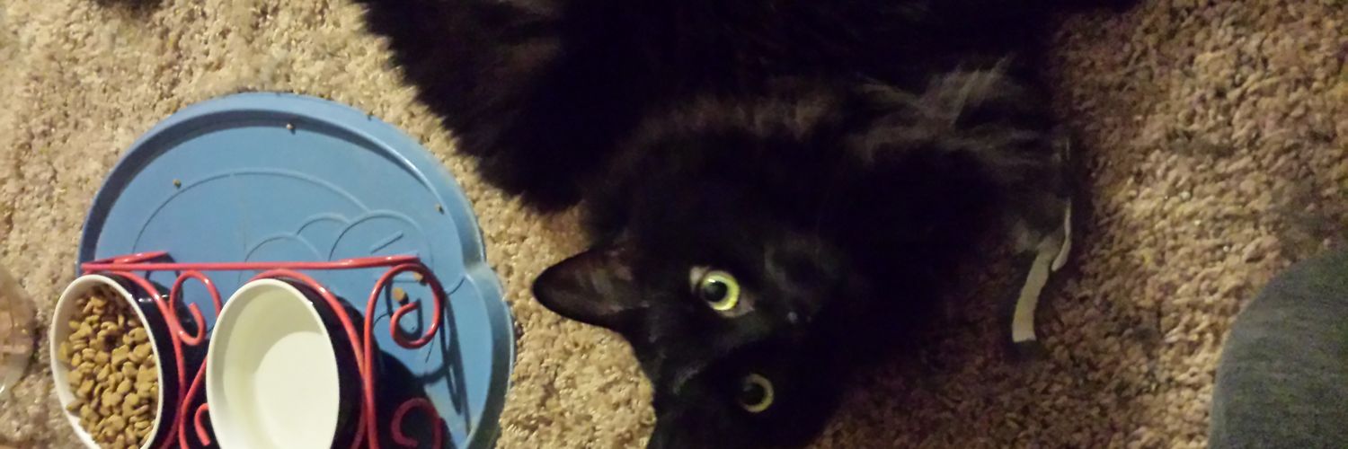 MommyJan1's profile banner image