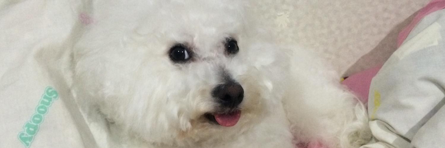 bob4126's profile banner image