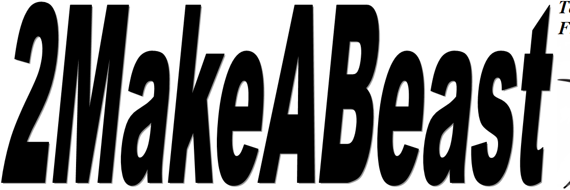 2MakeABeast's profile banner image