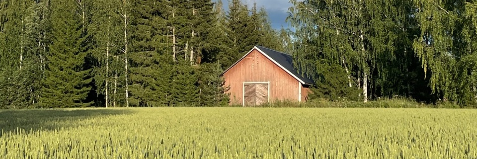 cam_thbrt's profile banner image