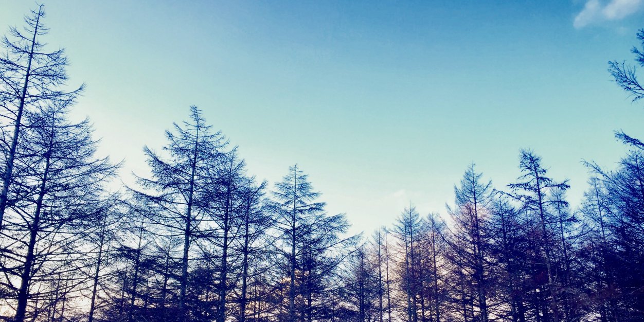 zQQmi's profile banner image
