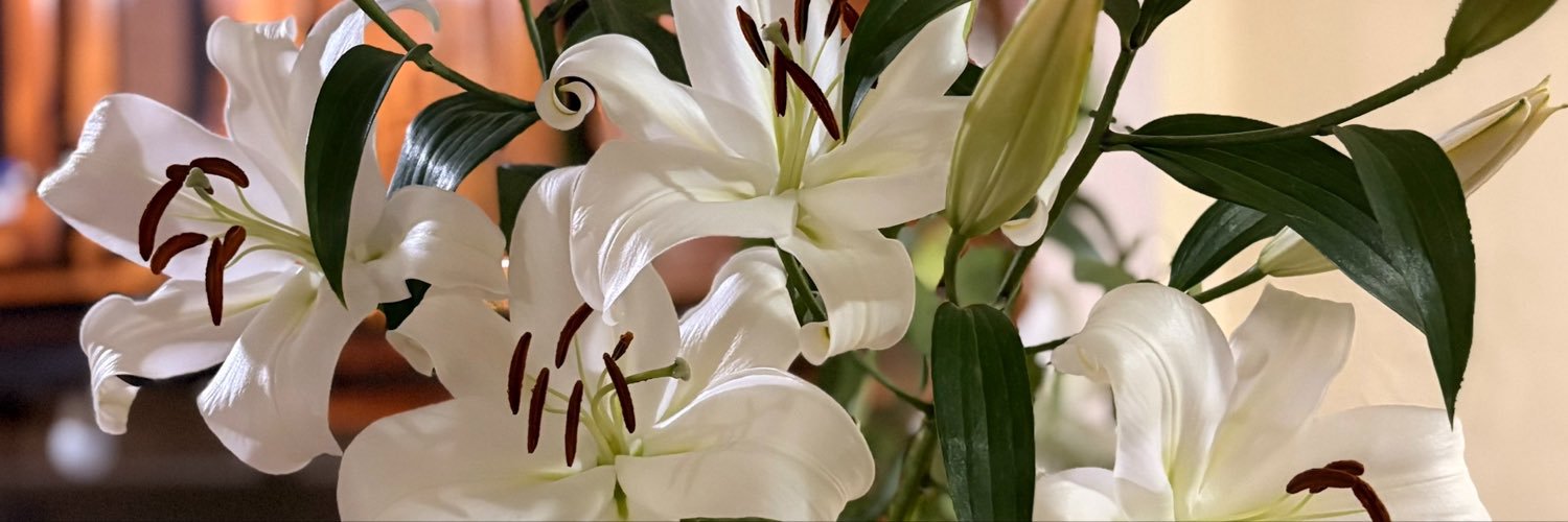 fridasuylen's profile banner image