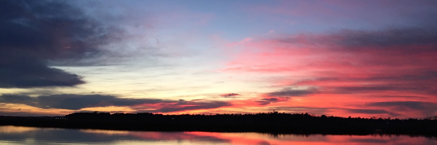 emmwhelan's profile banner image