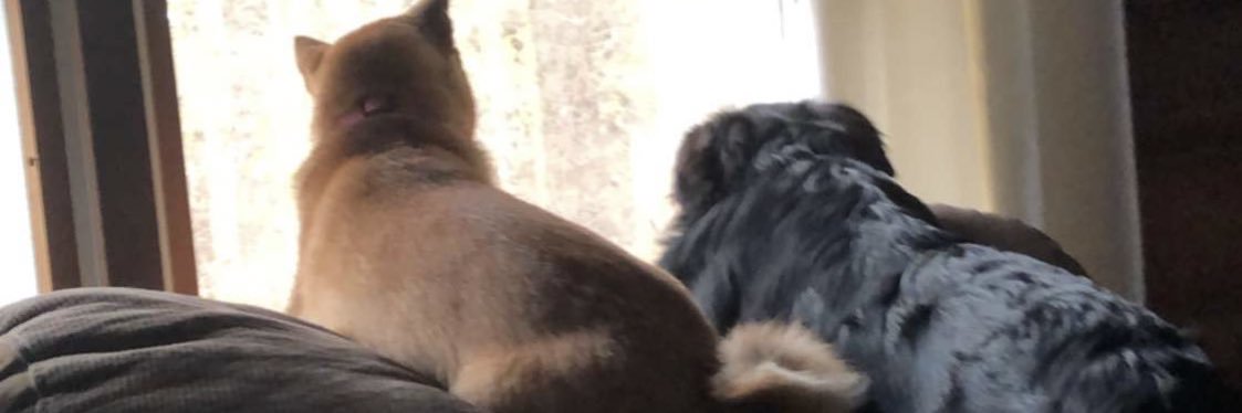 CourtneyDay21's profile banner image
