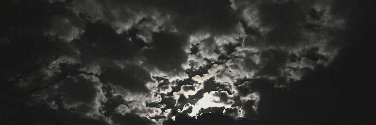 B_D_Asher's profile banner image