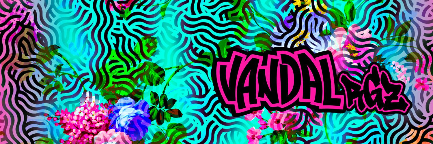VANDALrgz's profile banner image