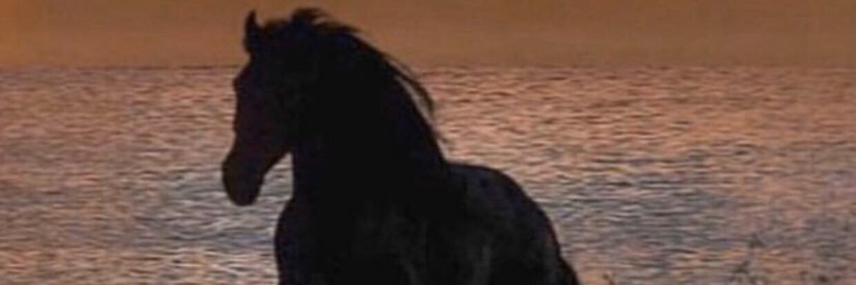 basheek1387's profile banner image