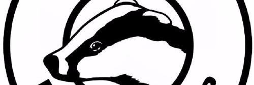 Devon Badger Group banner