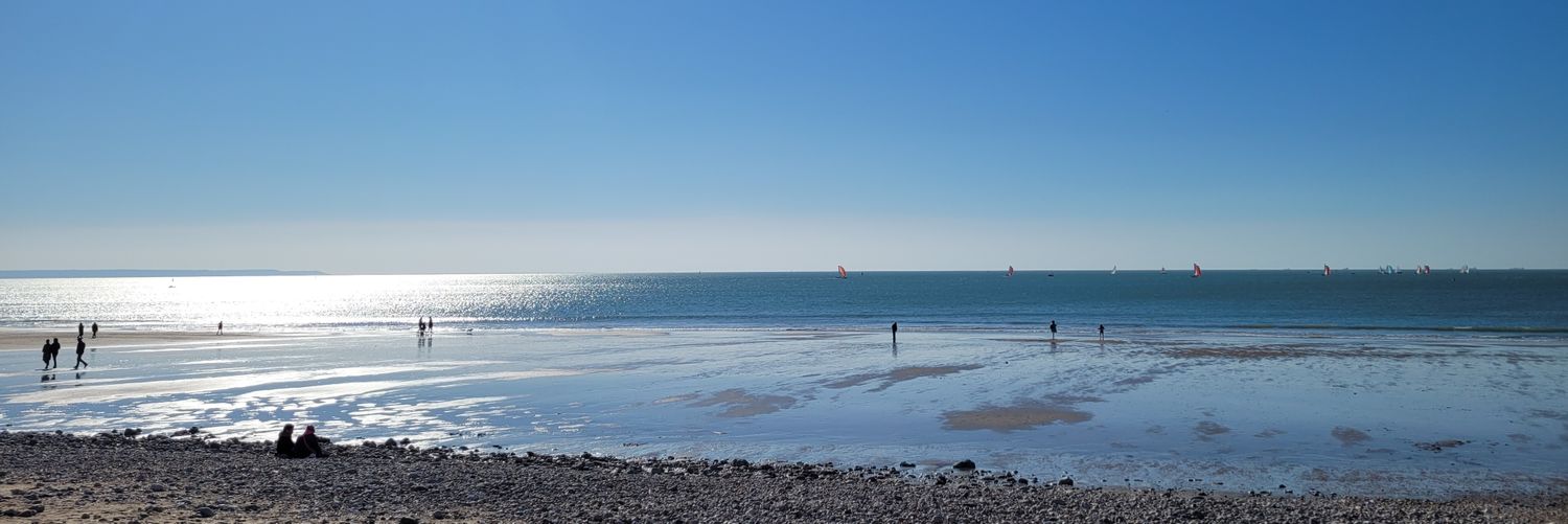 Derek Cunningham banner