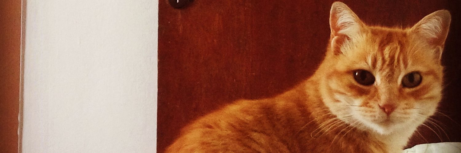 Mane Escanes C. ⭐⭐⭐ banner