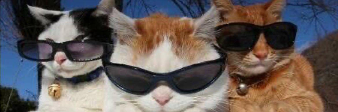 alicatee_'s profile banner image