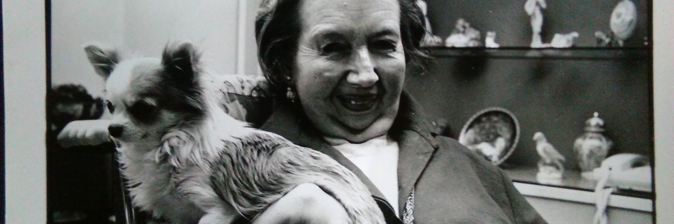 Rosemary Sutcliff (1920-92) banner