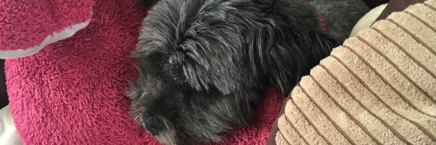 purdypod's profile banner image