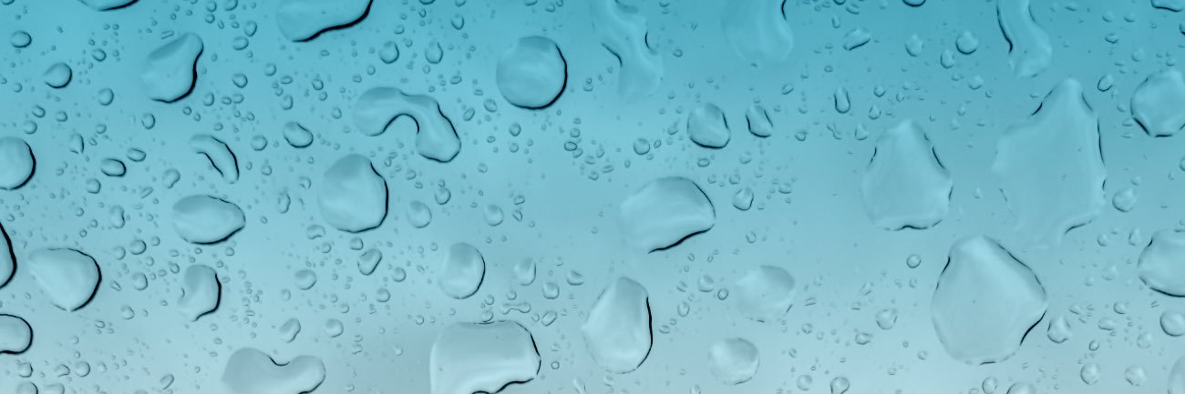 Michał Kozubski banner