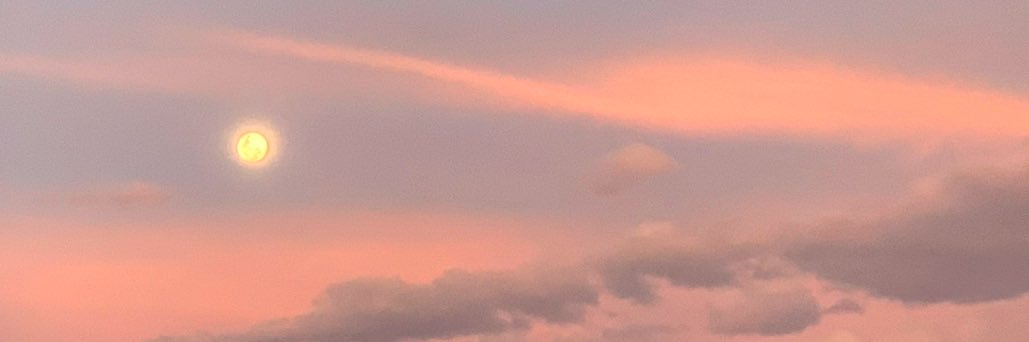 DomeFantonii's profile banner image