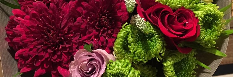 ShaimaMAly's profile banner image