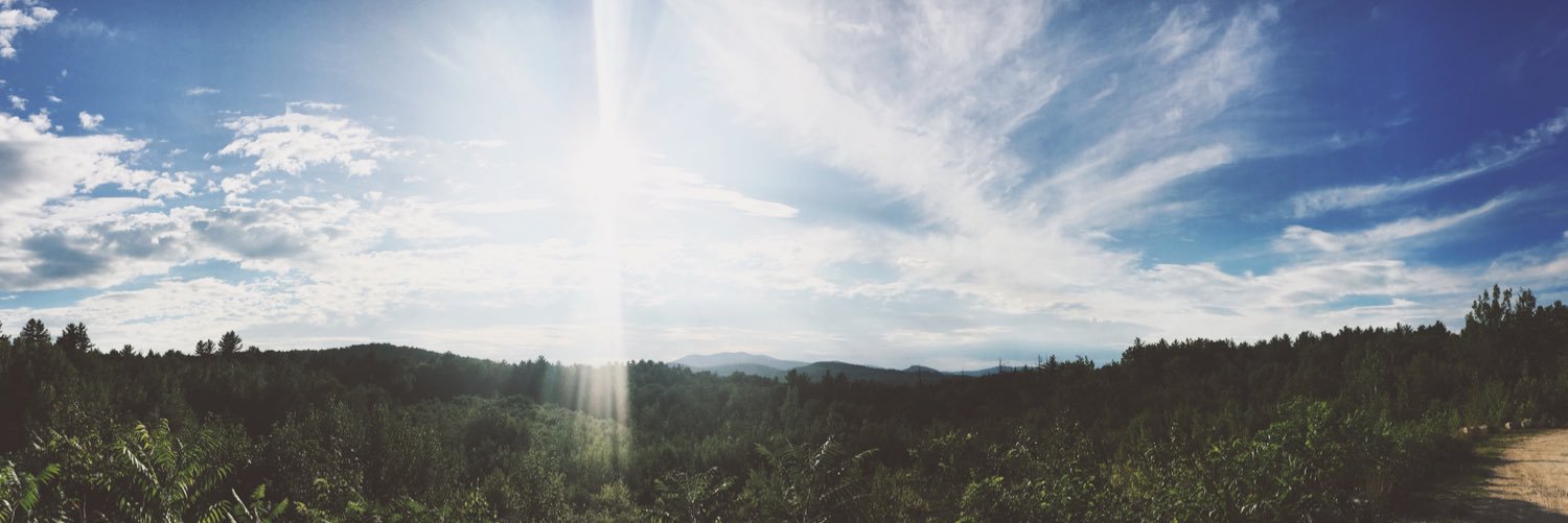 mollyodonnellll's profile banner image