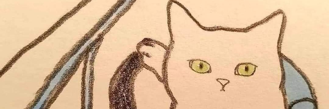 flakomh's profile banner image