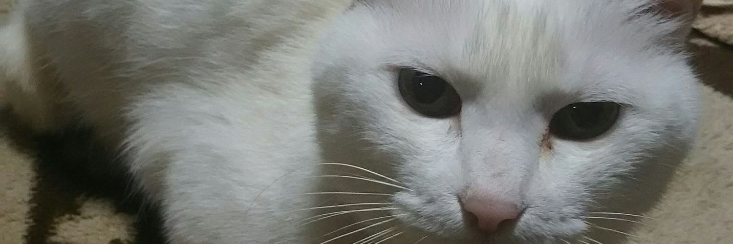 kidouhan_alt's profile banner image