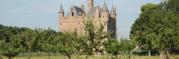 HelgaWitjes Profile Banner