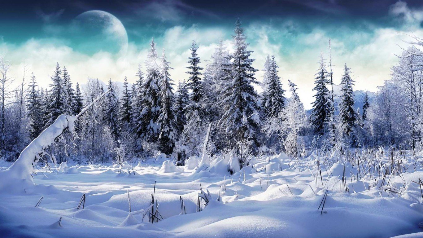 nollopani's profile banner image
