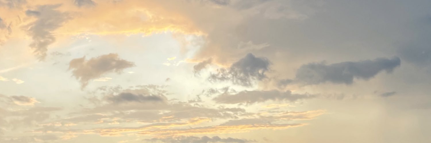 alexis_hendry's profile banner image