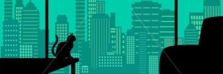 KittyCityKS's profile banner image