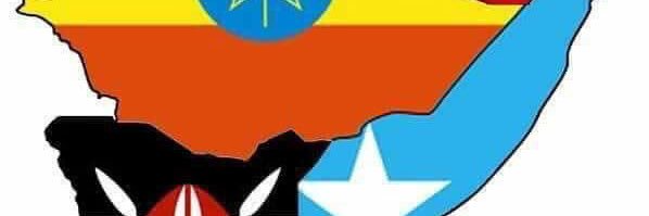 Mahigan01's profile banner image