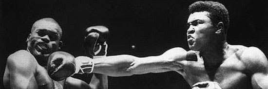 HAMADY ⚓️🕊️ banner