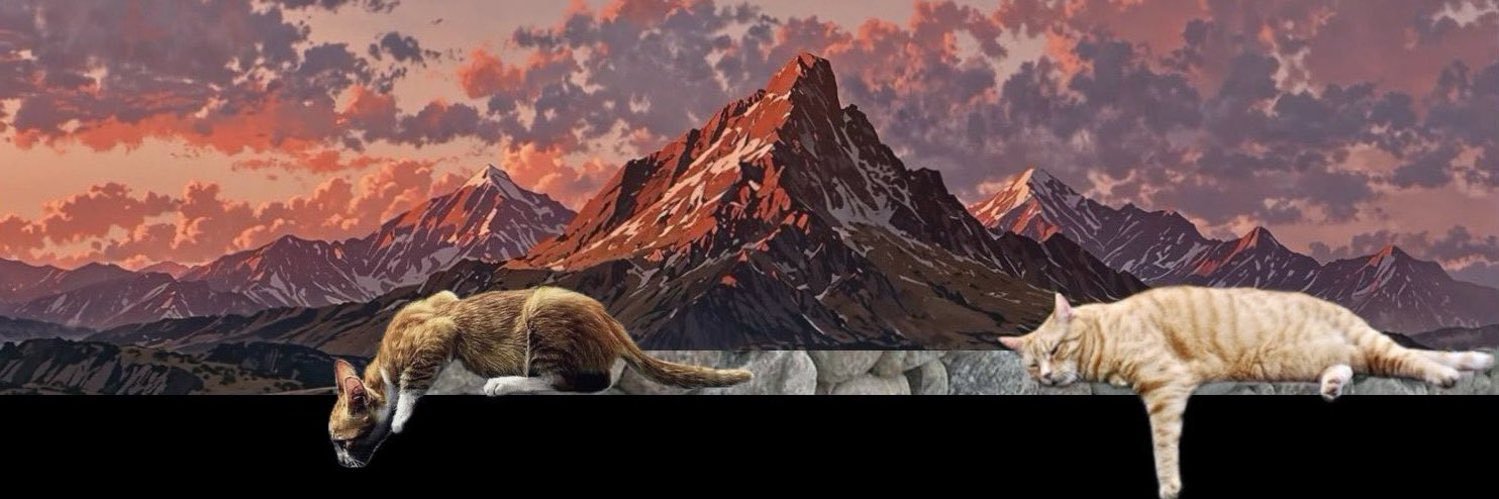 tayrollx's profile banner image