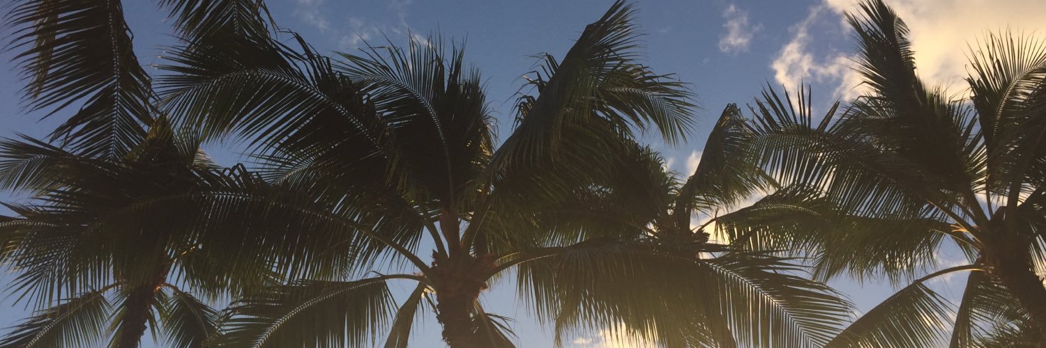 lynnjohn70's profile banner image
