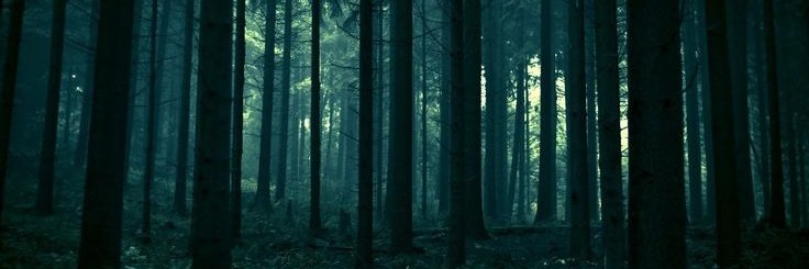 asgaror_'s profile banner image