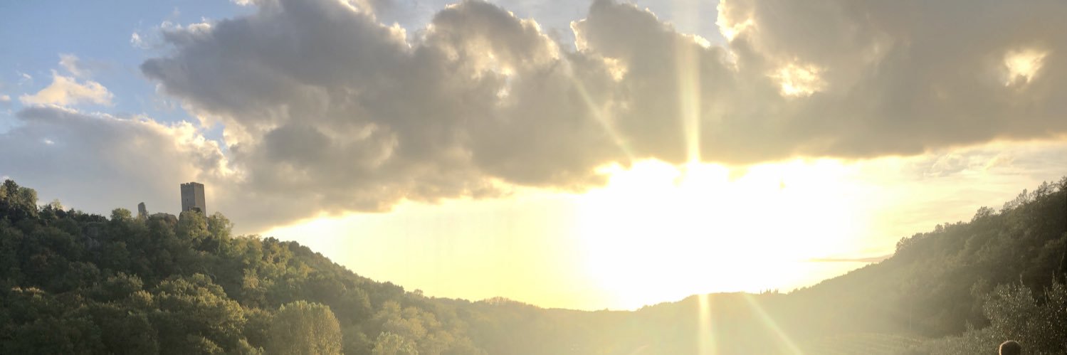 YTFox_'s profile banner image